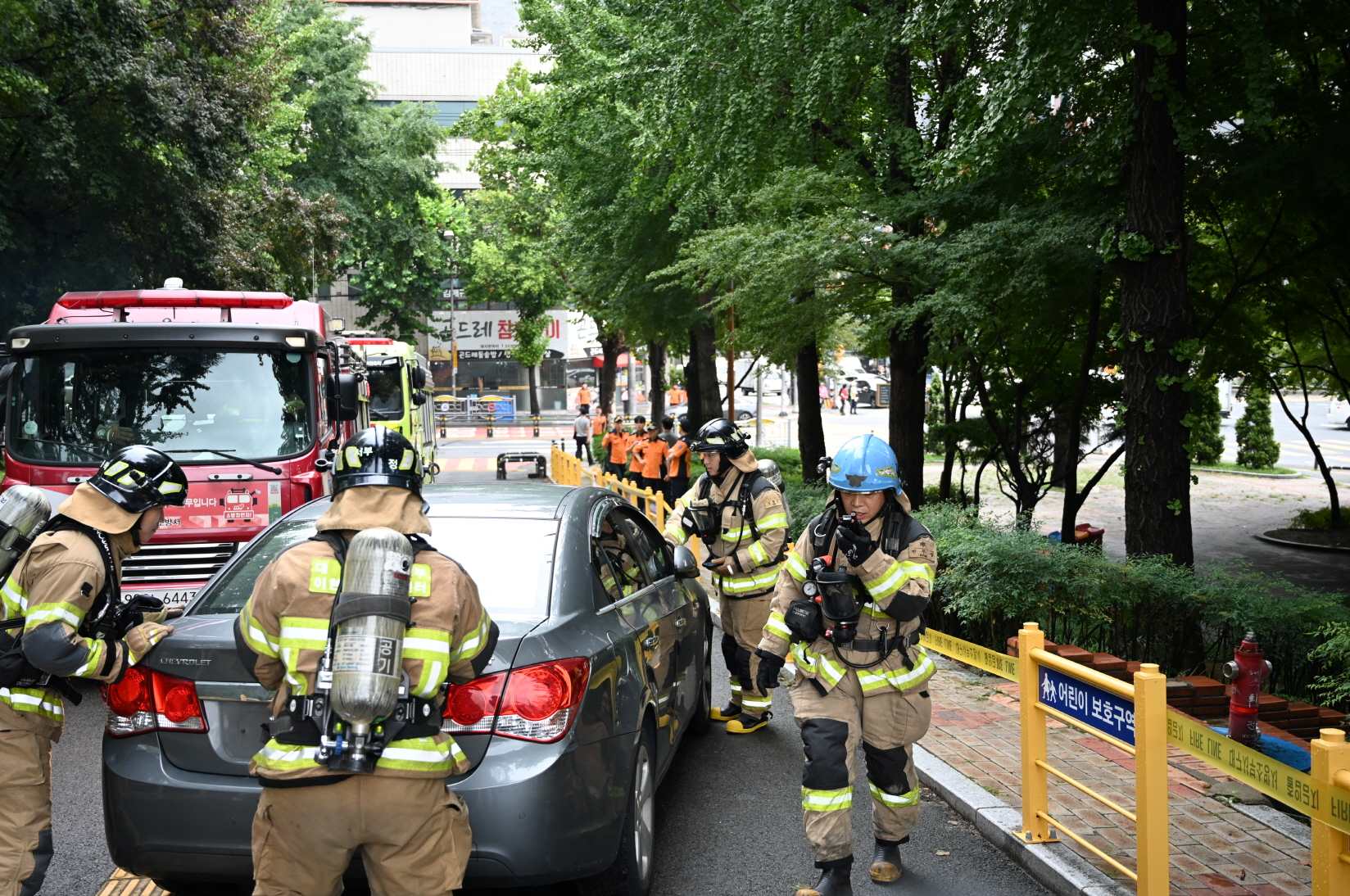 출처: 대구광역시청